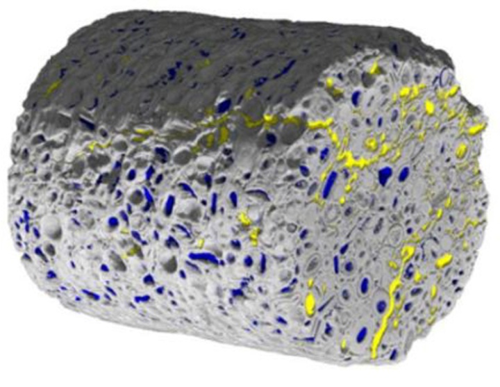 Mikrocomputertomografie-Aufnahme eines porösen Mediums mit zwei Fluidphasen