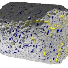 Microcomputer tomography recording of a porous media with two fluid phases.